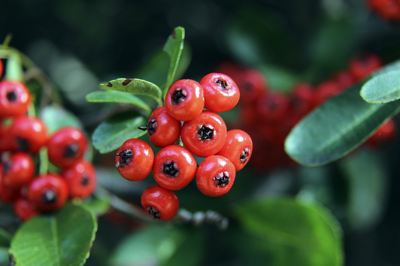 英媒：压垮骆驼的最后一根稻草，或是萨拉赫欧冠防守的懈怠