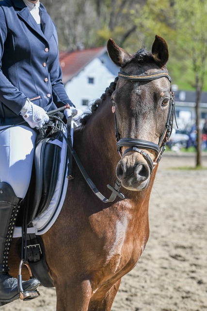 邮报：曼联询问多纳鲁马转会可能性，转会费与工资都超出预算