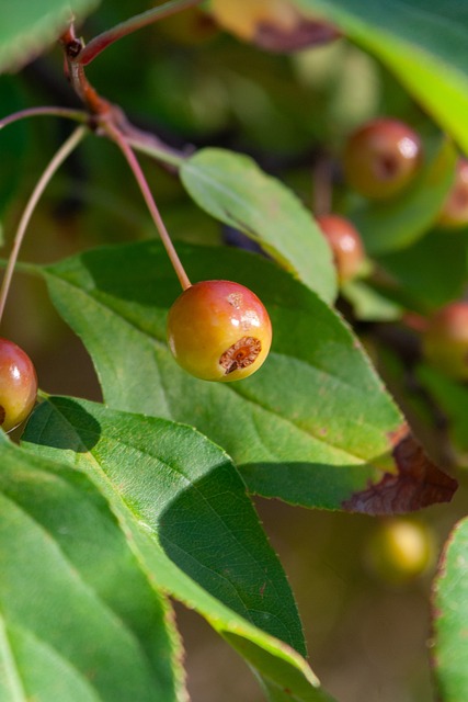 斯卢茨基：虽然排名不是很理想，但我们依然会尽全力打好比赛