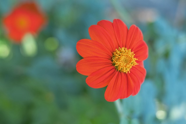 官方：前柏林联主帅费希尔执教美因茨，双方签约到2028年